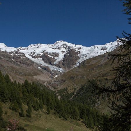 Hotel De Gletscher 格雷索拉特里尼泰 外观 照片